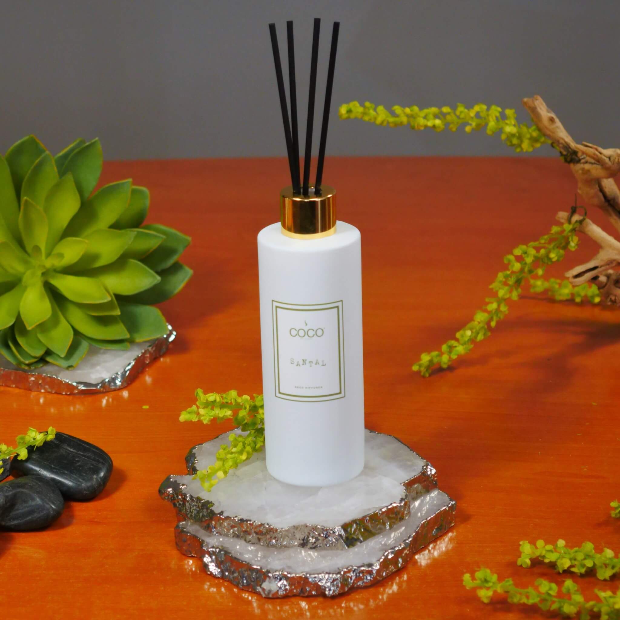 5oz Santal Reed Diffuser