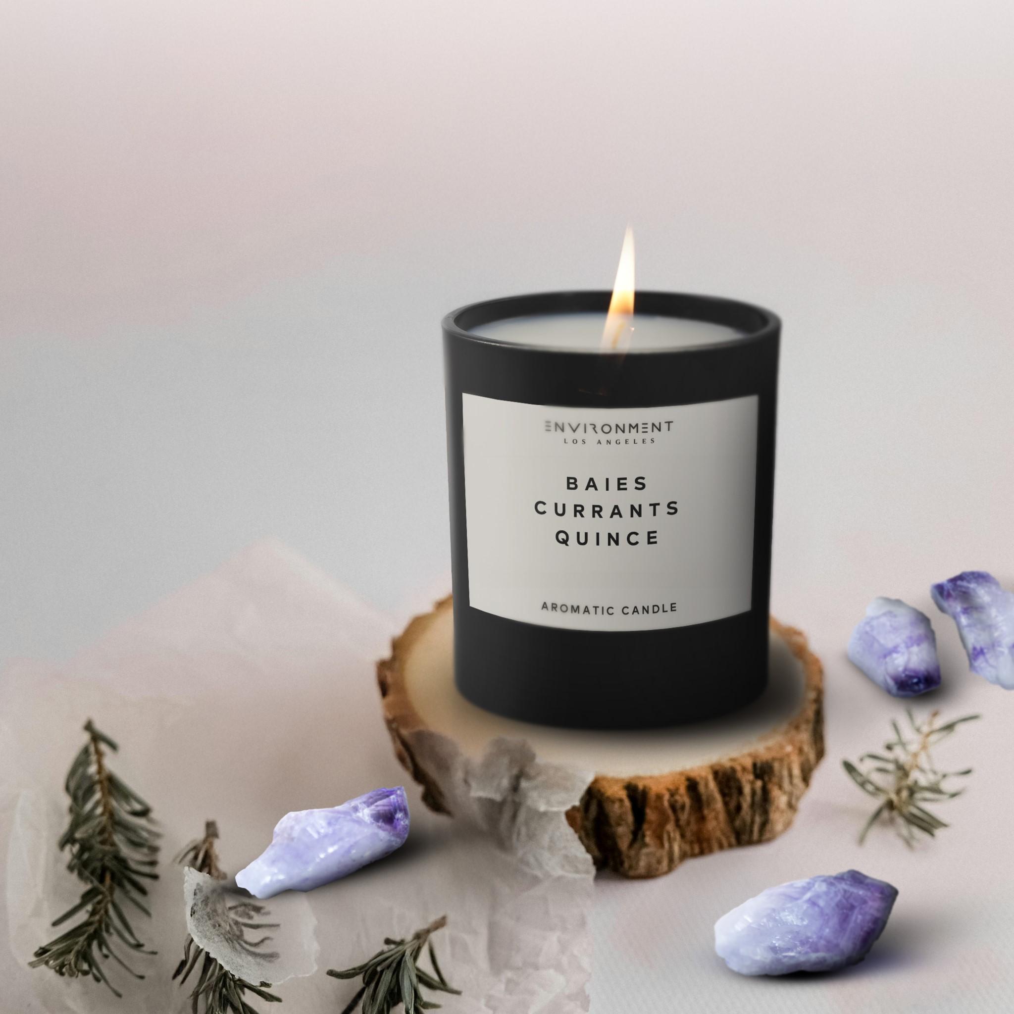 8oz Baies | Currants | Quince Candle with Lid and Box (Inspired by Diptyque Baies®)